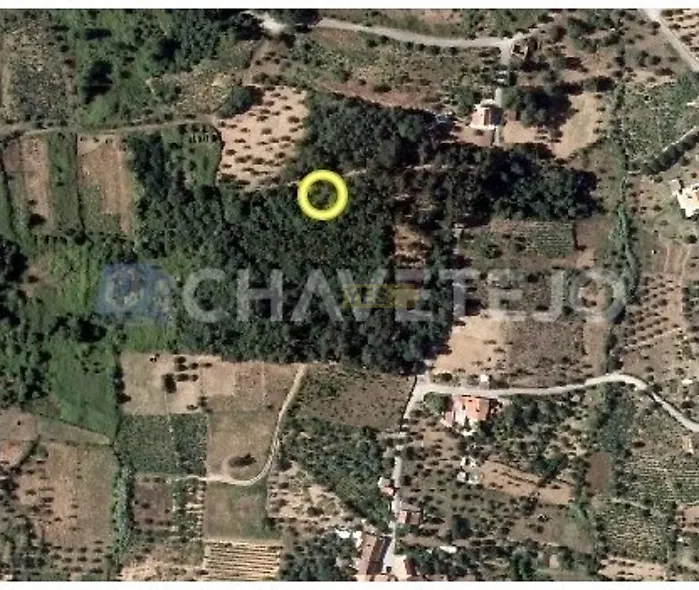 main-listing-picture-0