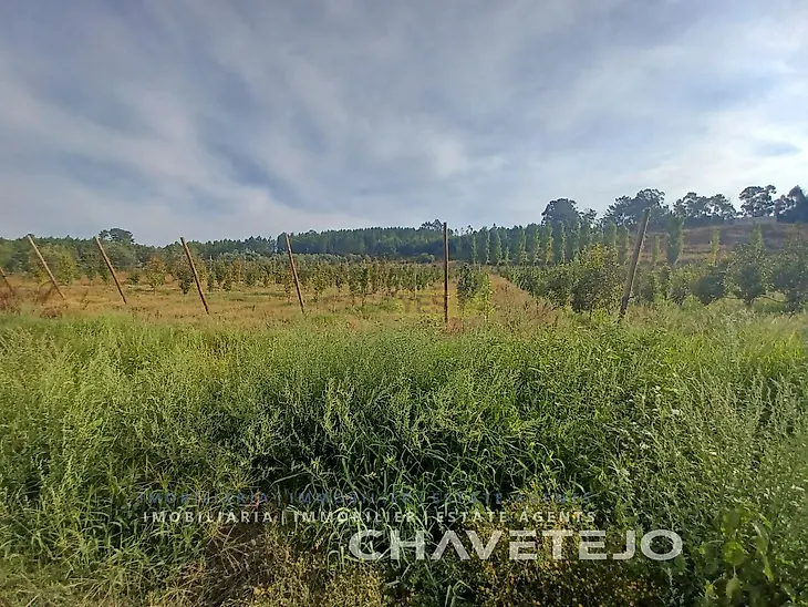 main-listing-picture-0