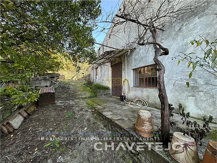 main-listing-picture-0