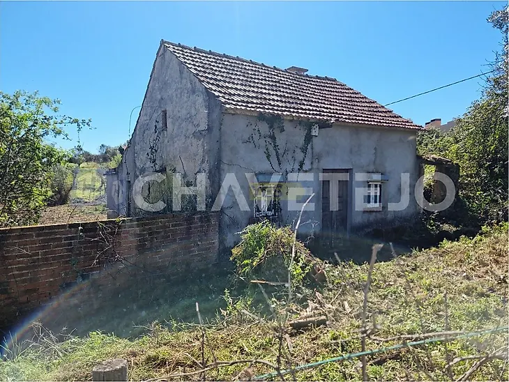 main-listing-picture-0