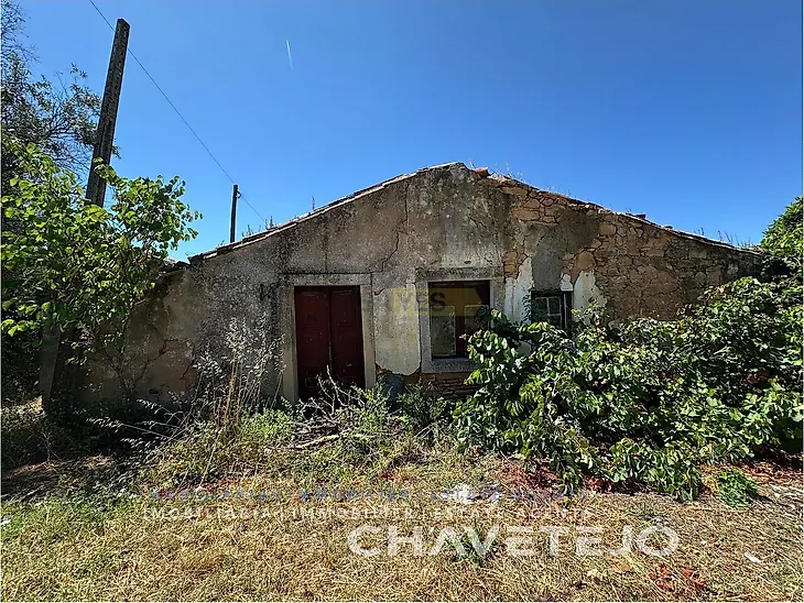 main-listing-picture-0
