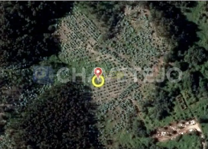 main-listing-picture-0