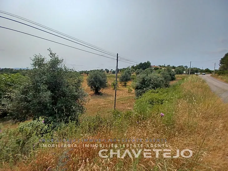 main-listing-picture-0
