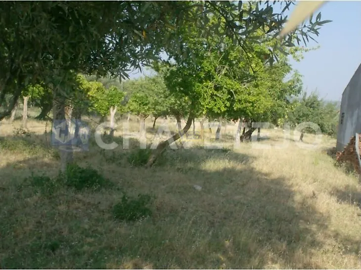 main-listing-picture-0