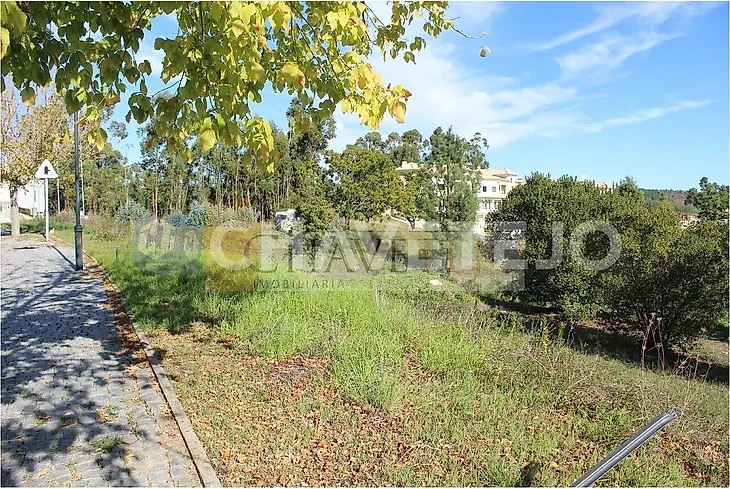 main-listing-picture-0