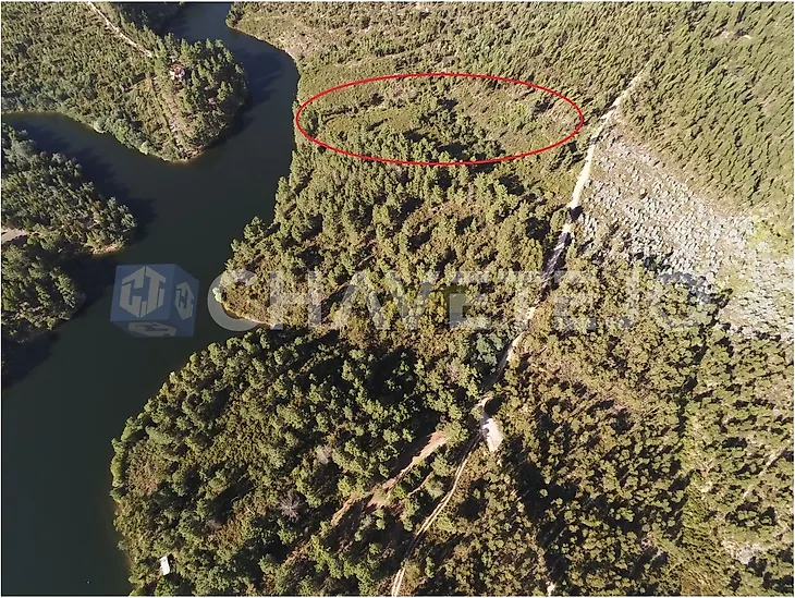 main-listing-picture-0