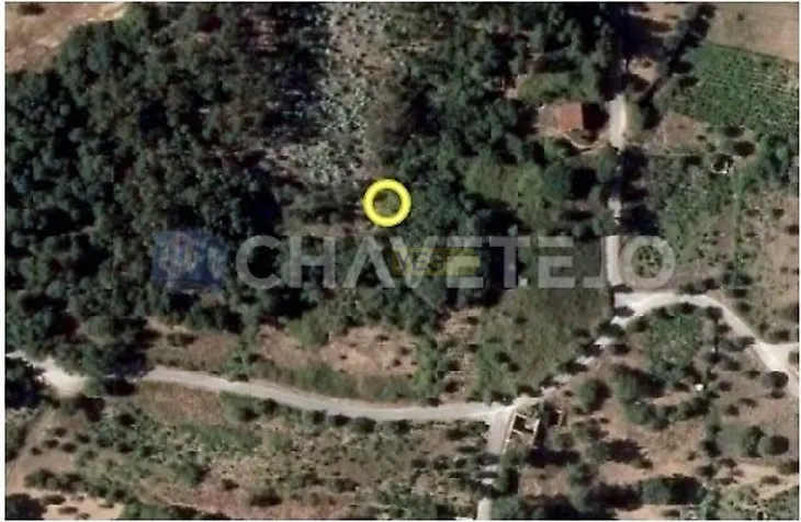 main-listing-picture-0