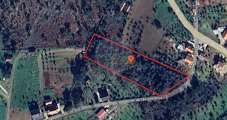 main-listing-picture-0