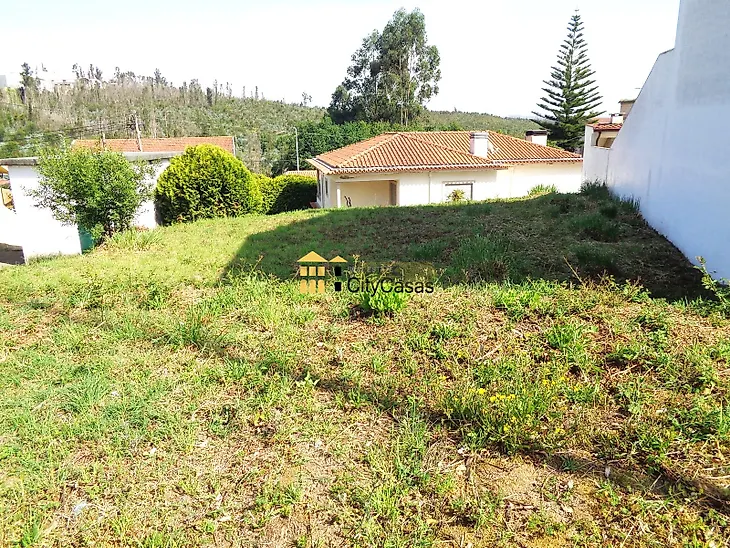 main-listing-picture-0