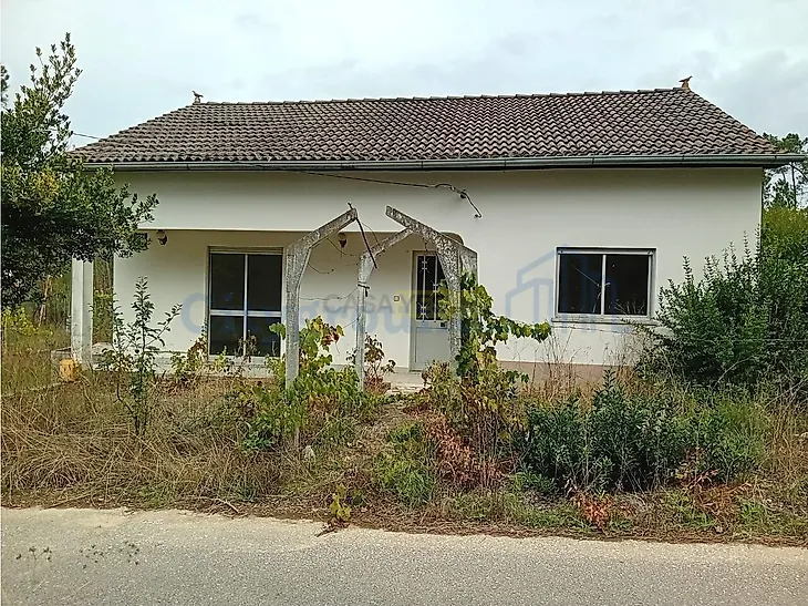 main-listing-picture-0