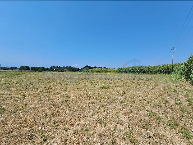 main-listing-picture-0