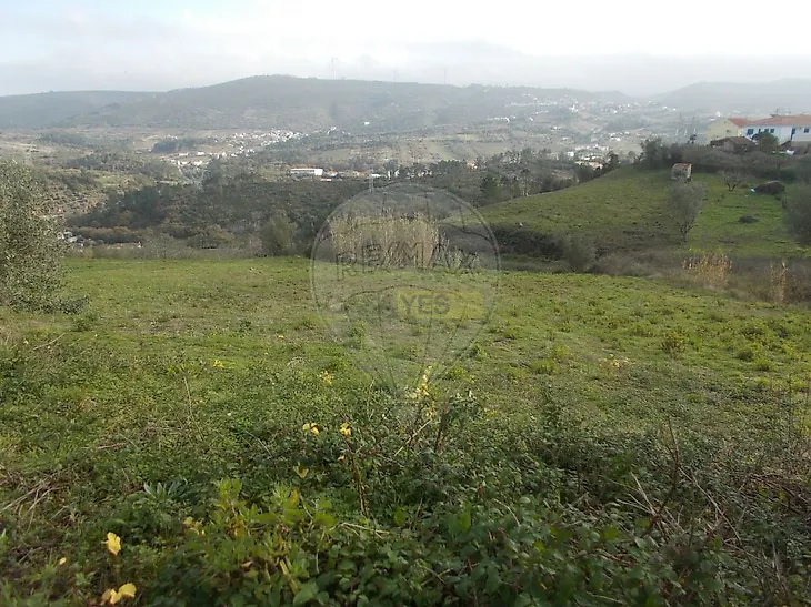 main-listing-picture-0