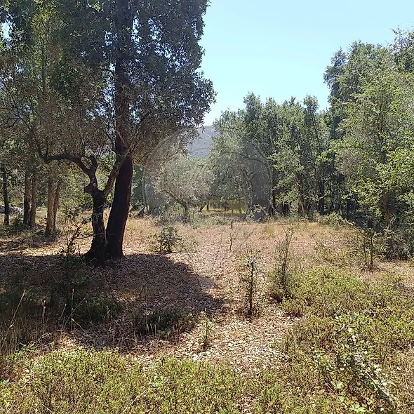main-listing-picture-0
