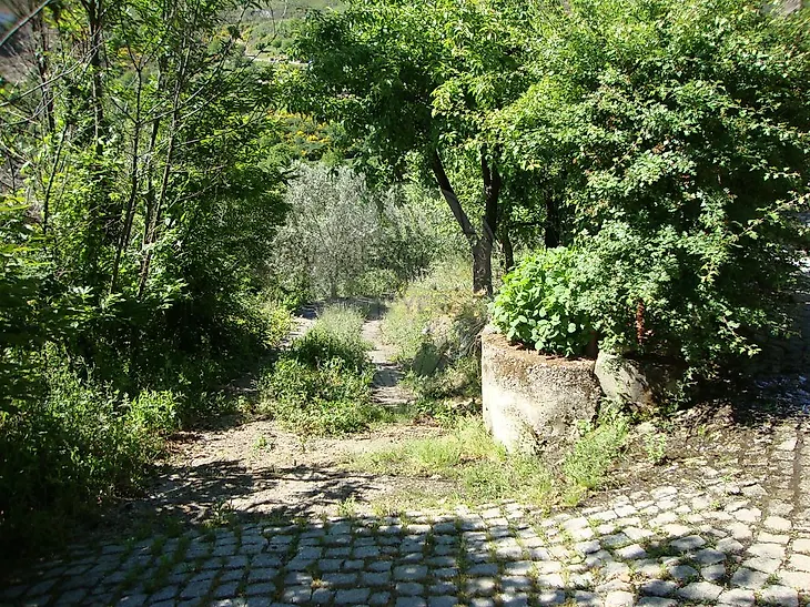 main-listing-picture-0