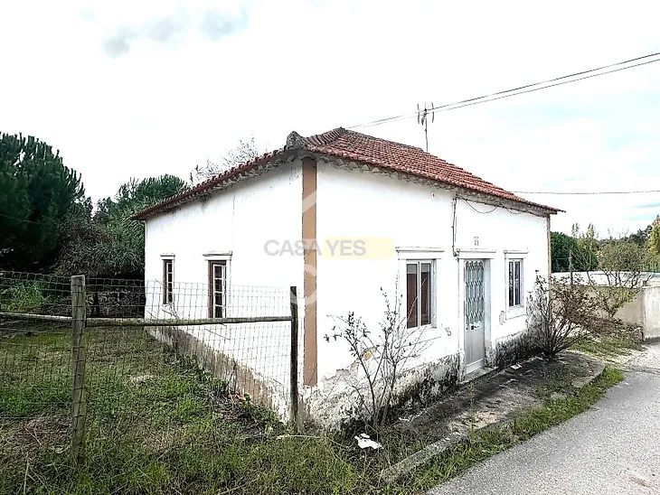 main-listing-picture-0