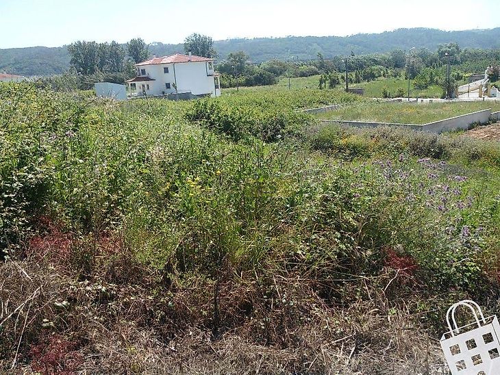 main-listing-picture-0