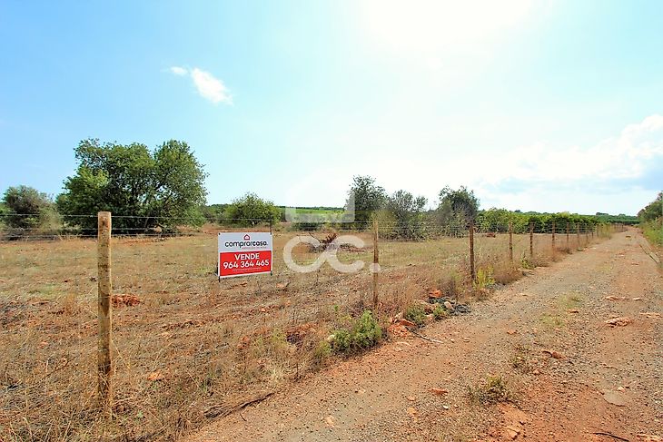 main-listing-picture-0