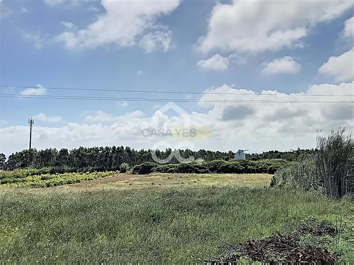 main-listing-picture-0