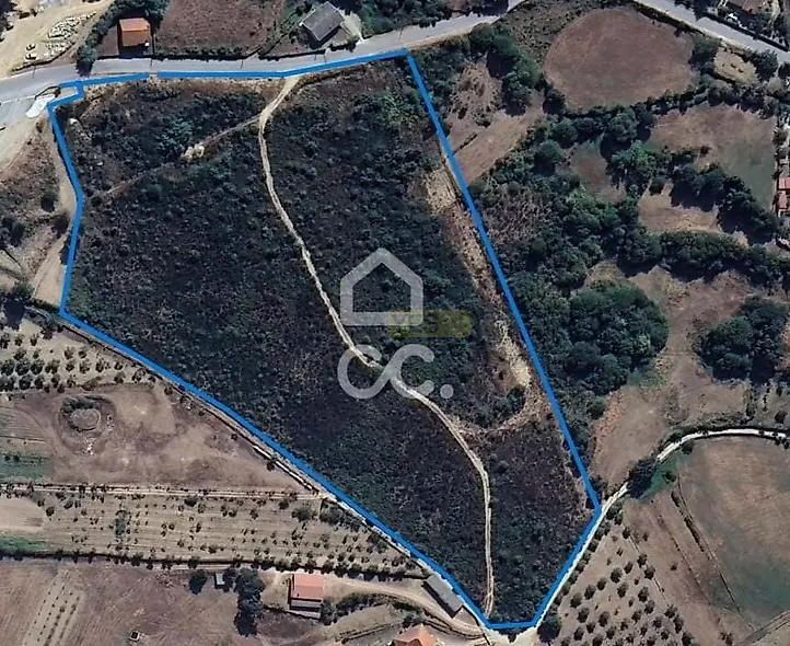 main-listing-picture-0