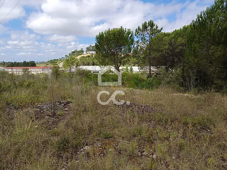 main-listing-picture-0