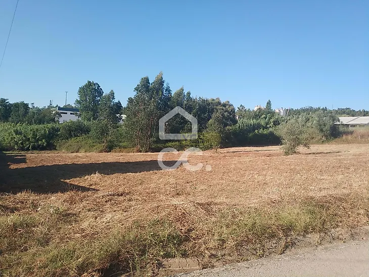 main-listing-picture-0