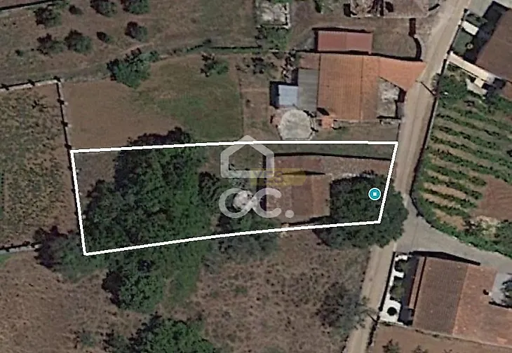 main-listing-picture-0