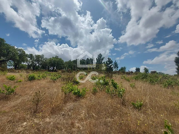 main-listing-picture-0