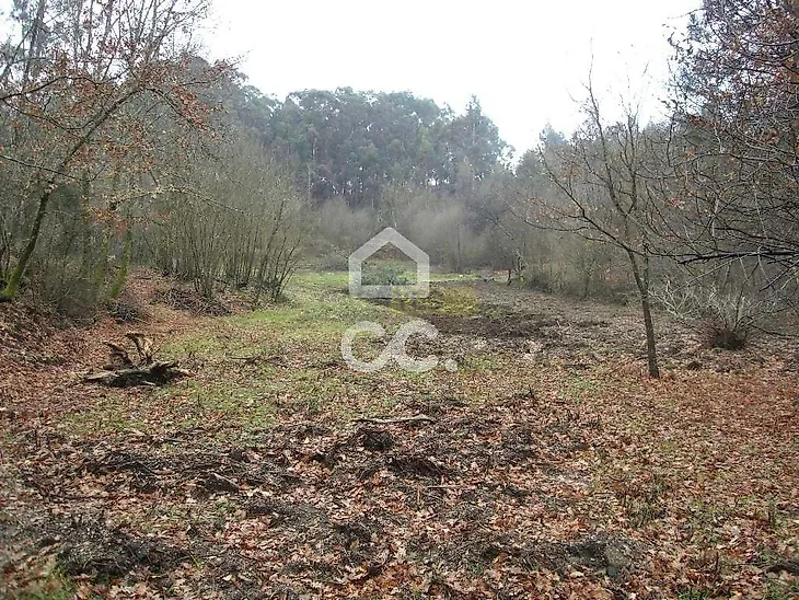 main-listing-picture-0
