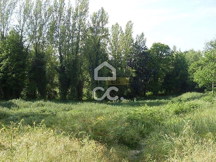 main-listing-picture-0