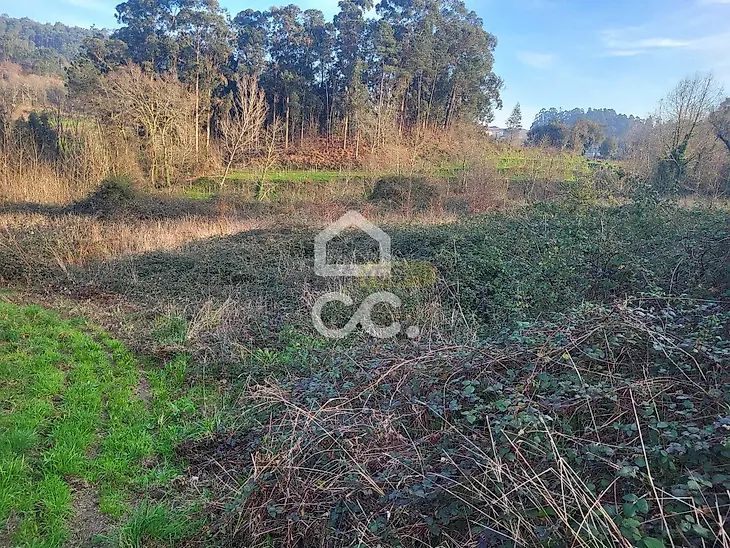 main-listing-picture-0