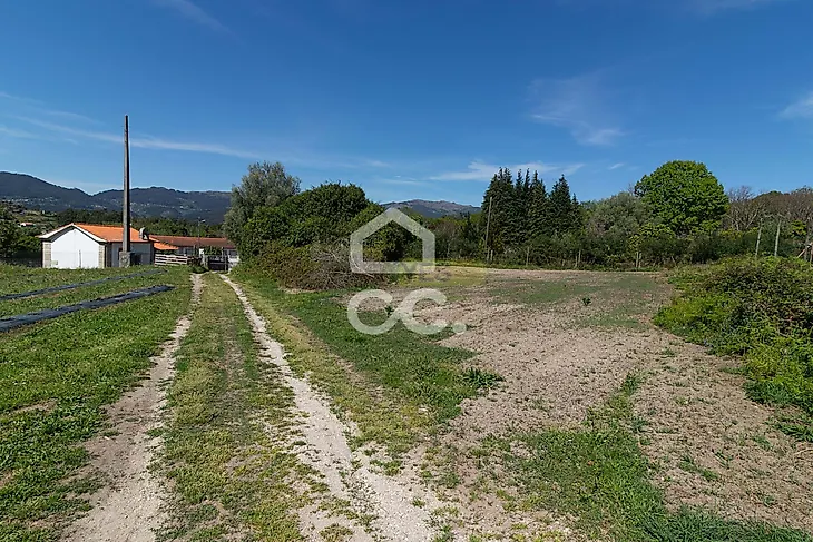 main-listing-picture-0
