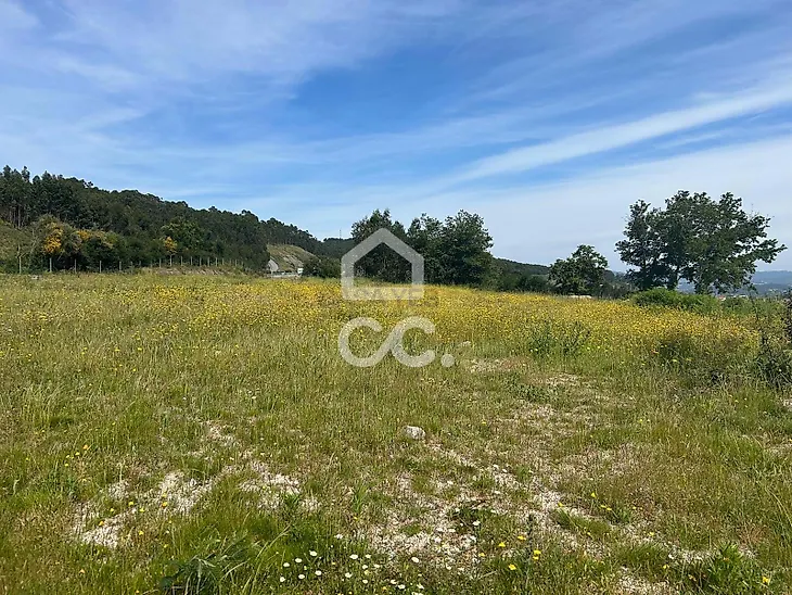 main-listing-picture-0