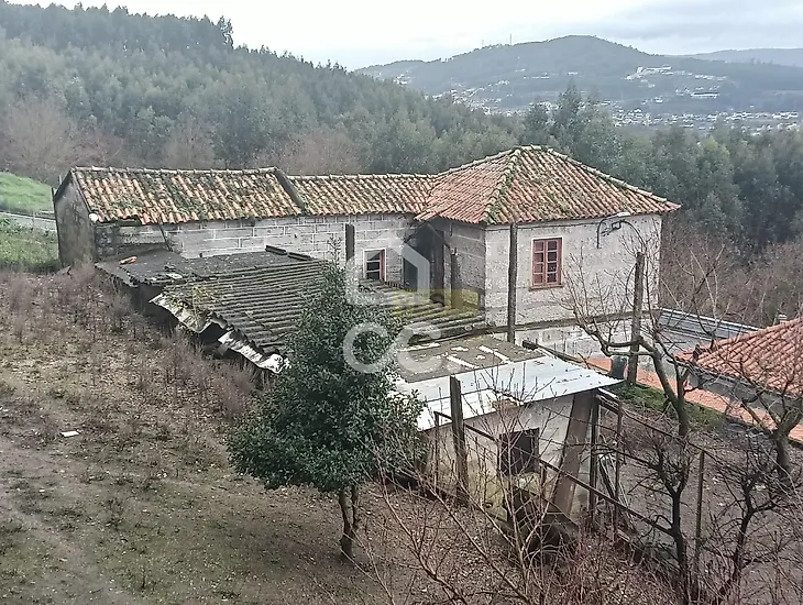 main-listing-picture-0