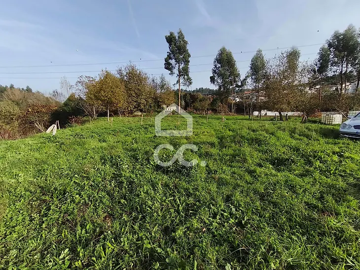 main-listing-picture-0