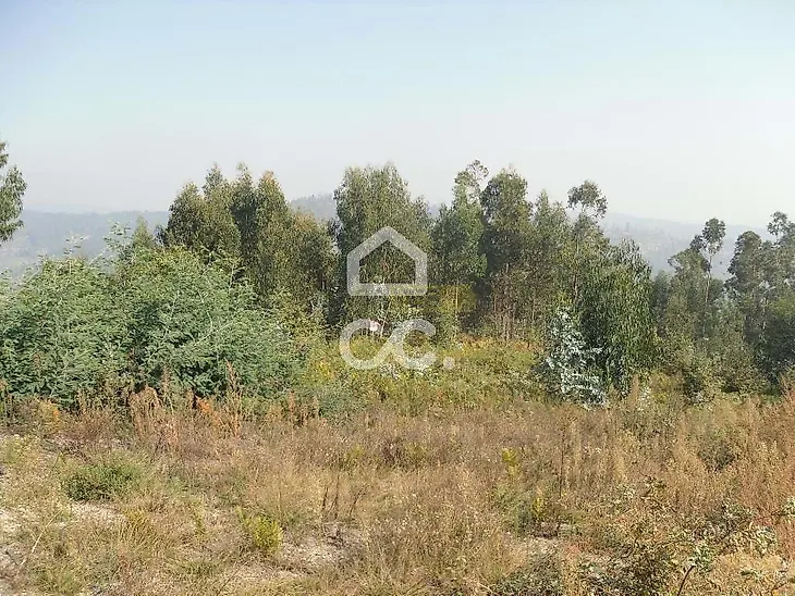 main-listing-picture-0