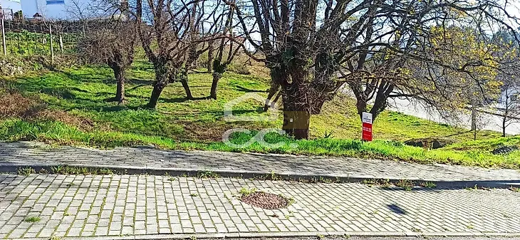main-listing-picture-0