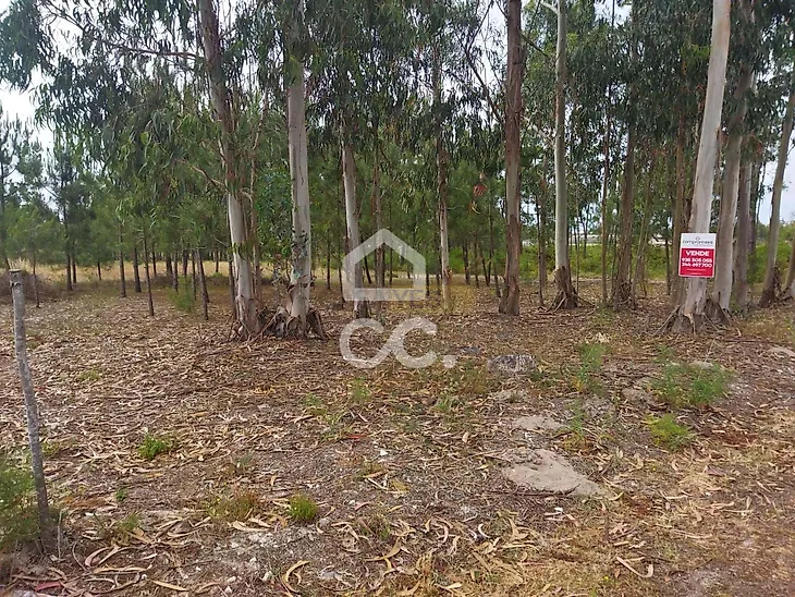 main-listing-picture-0
