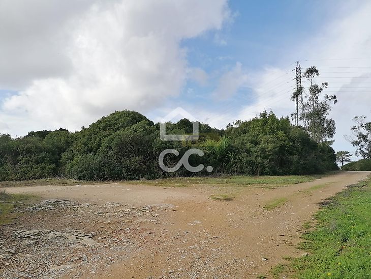main-listing-picture-0