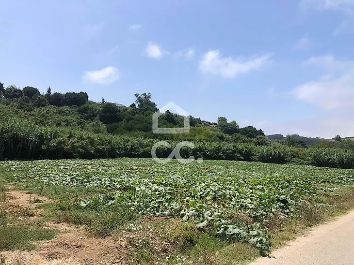 main-listing-picture-0