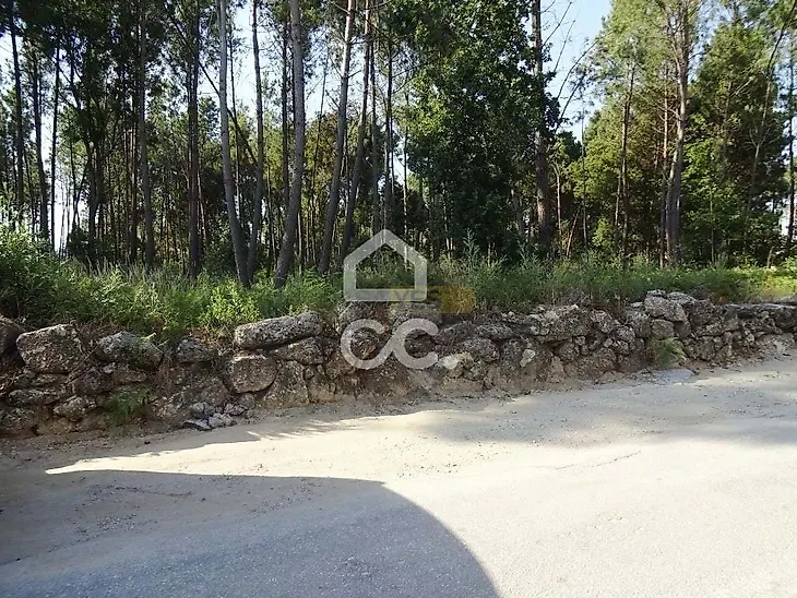 main-listing-picture-0