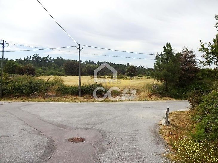 main-listing-picture-0
