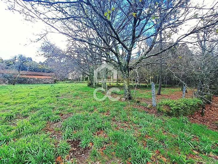 main-listing-picture-0