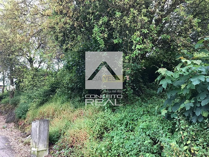 main-listing-picture-0