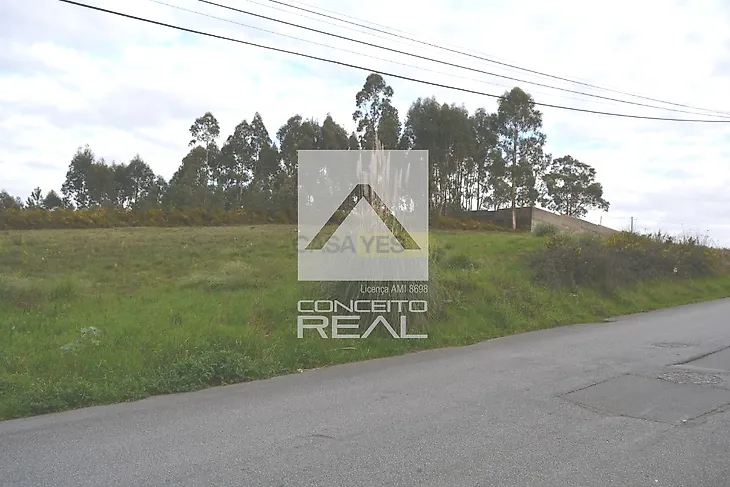 main-listing-picture-0