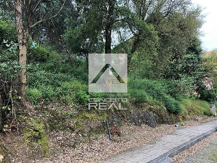 main-listing-picture-0