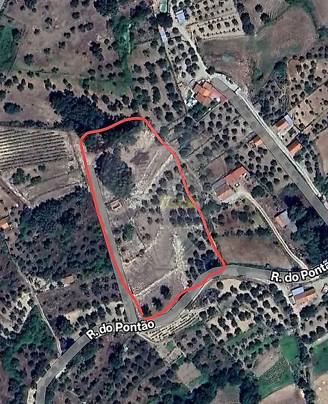 main-listing-picture-0