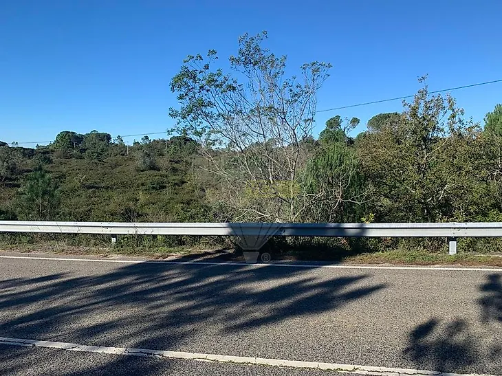 main-listing-picture-0