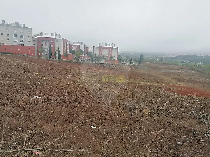 main-listing-picture-0