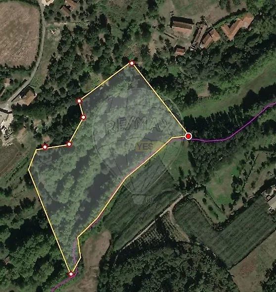 main-listing-picture-0