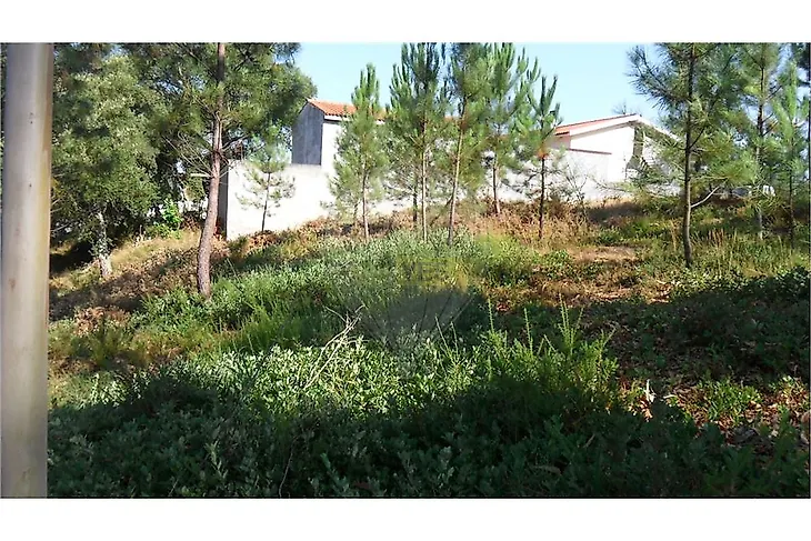 main-listing-picture-0